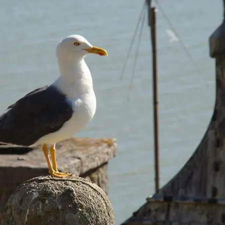 Maison d'hôtes Entre Mont St Michel Et Merveille Vains