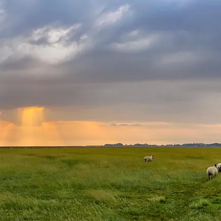 Gæstehus Entre Mont St Michel Et Merveille 4*
