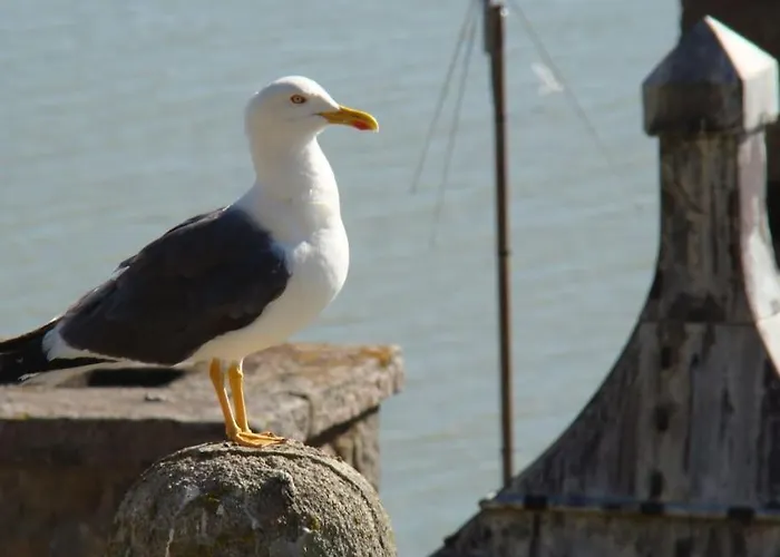 Pensjonat Entre Mont St Michel Et Merveille Vains