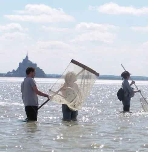 Entre Mont St Michel Et Merveille 4* Vains